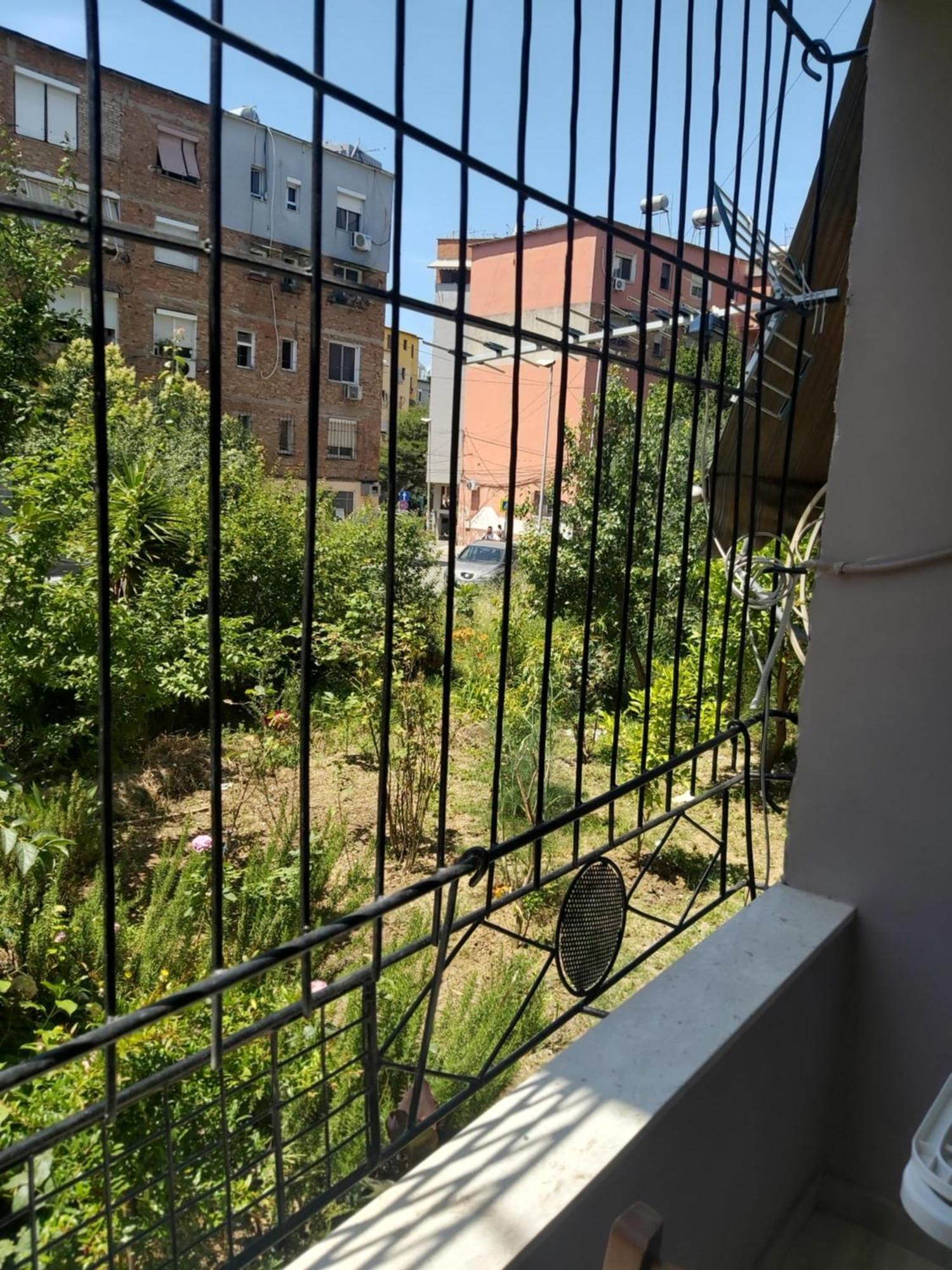 Apartment Gesapartment Tirana